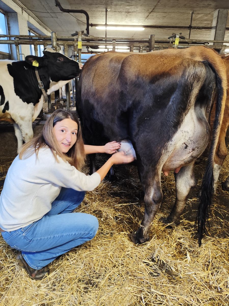 Jacqueline bei der Anwendung ätherischer Öle bei einer Kuh