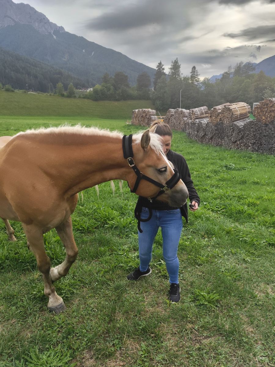 Jacqueline bei der Ölanwendung an einem Pferd